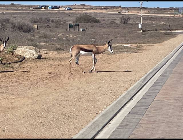 685M² VACANT LAND FOR SALE IN LANGEBAAN COUNTRY ESTATE